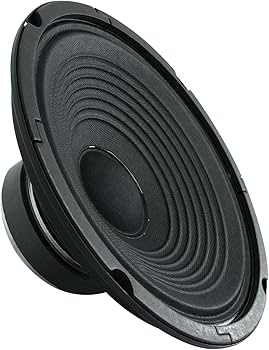 Amazon.com: CELESTION Eight 15 8 Ohm Guitar Speaker (T5813